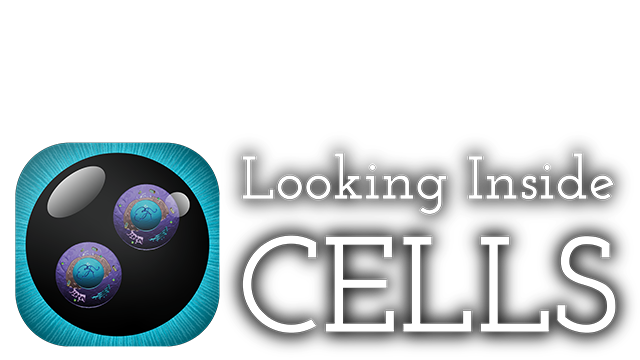 Looking Inside Cells