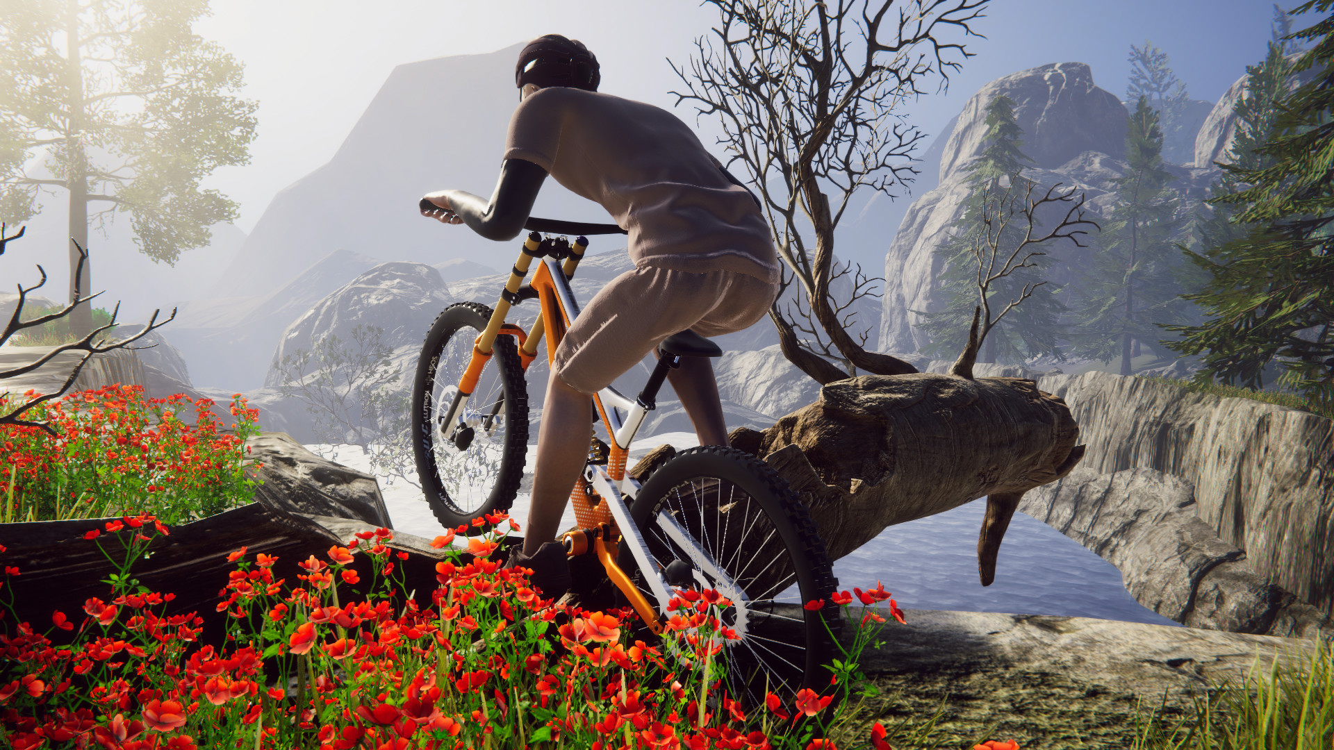 Bicycle Rider Simulator on Steam