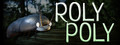 Roly Poly