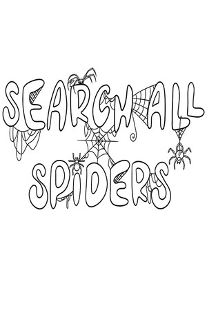 SEARCH ALL - SPIDERS