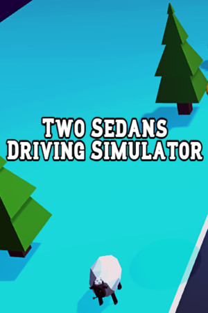 Two Sedans Driving Simulator cover art