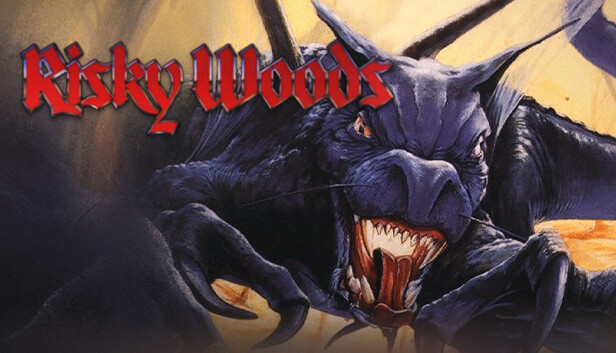Risky Woods Steam capsule image
