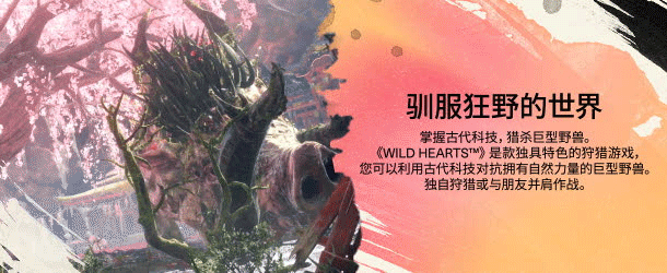 图片[2]-PC《狂野之心》v.1.0.1.1+6DLC 解密中文版下载-Cool Game
