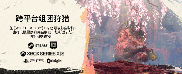 图片[5]-《狂野之心 （WILD HEARTS™）》免安装绿色中文版