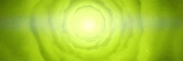 BurritoBear_PortalFall.gif?t=1707152437