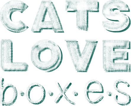 Cats Love Boxes