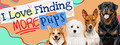 I Love Finding MORE Pups