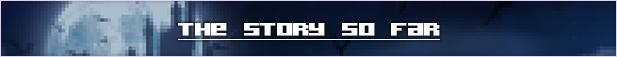 About_Section_Banner_Story.png?t=1716295662