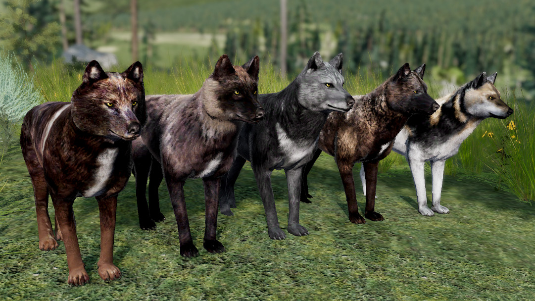 WolfQuest Anniversary Building Character Pack Screenshots · SteamDB
