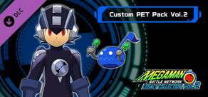 Mega Man Battle Network Legacy Collection Vol. 2 - Custom PET Pack Vol. 2