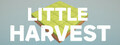 Little Harvest