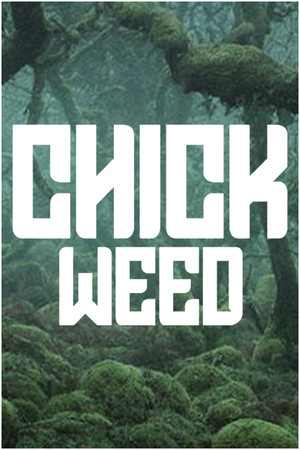 CHICKWEED