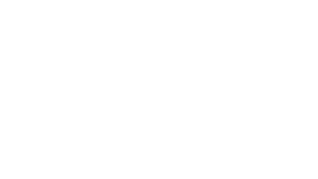 Dual Universe