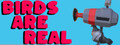 Birds Are Real