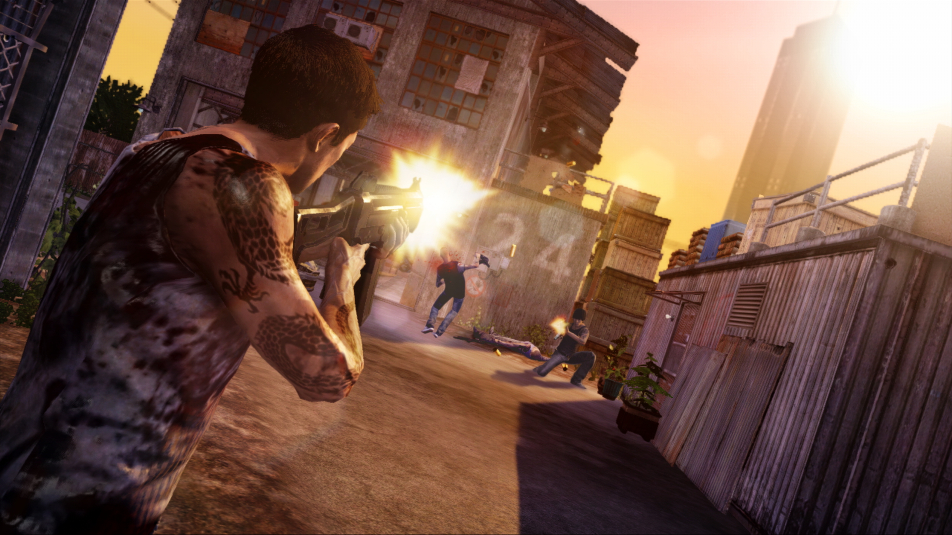 Sleeping Dogs - PC Features 