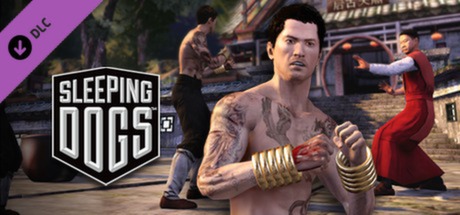 Sleeping Dogs: Martial Arts Pack no Steam