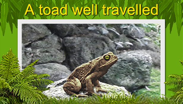 A toad well travelled Steam capsule image
