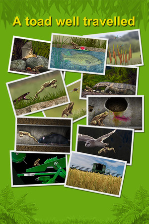 A toad well travelled cover art
