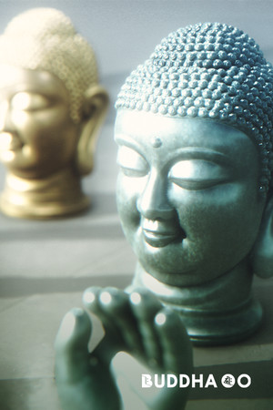 BUDDHA GO