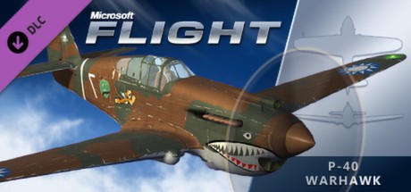 Microsoft Flight: P-40 mobile game banner