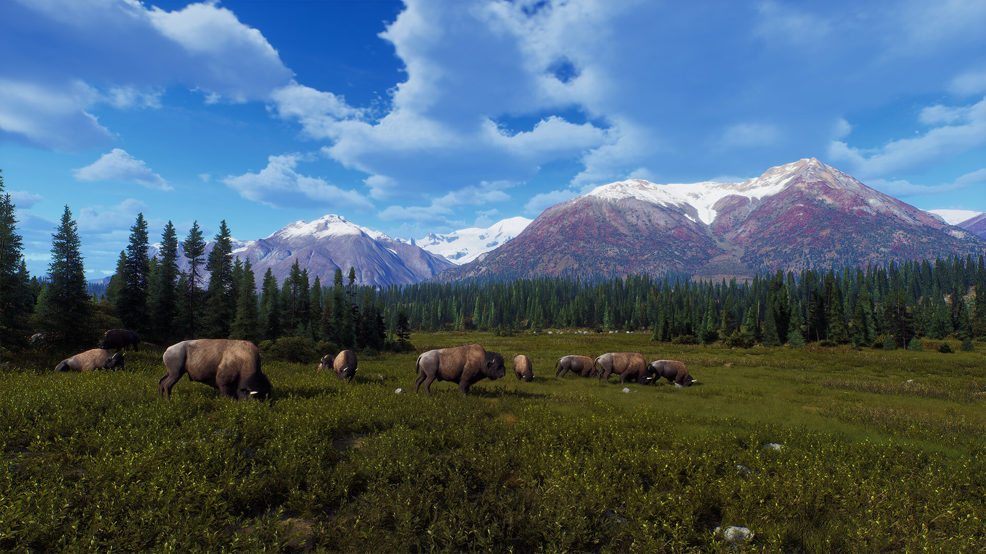 Poupa 50% em The WILDS no Steam