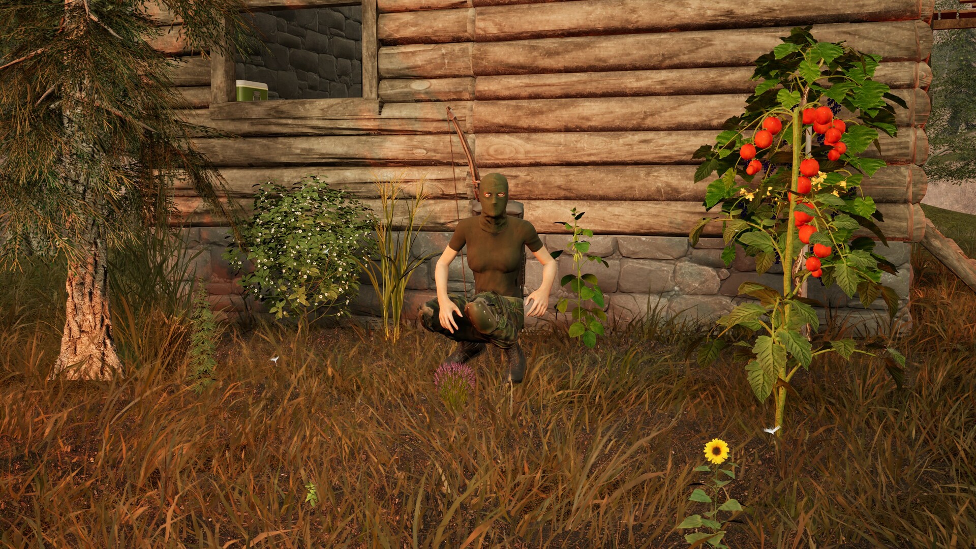 Territory on Steam