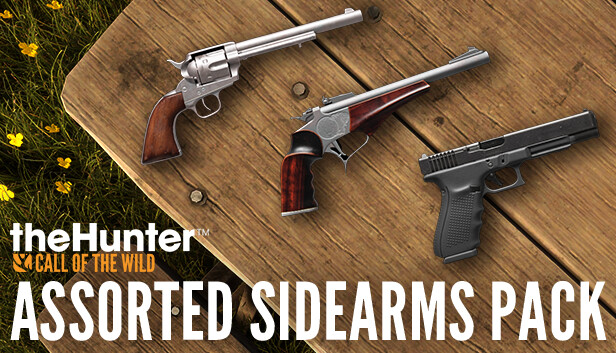 theHunter: Call of the Wild™ - Assorted Sidearms Pack Steam capsule image