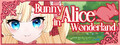 Bunny Alice in Wonderland 