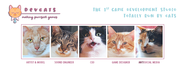 banner devcats studio2b Een kasteel vol katten |  video game recensie