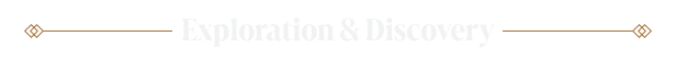 IOI_Steam_About_the_Game_Banner_3-Title-Exploration_EN.png?t=1707847143