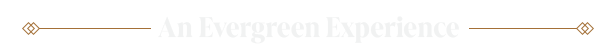 IOI_Steam_About_the_Game_Banner_5-Title-Experience_EN.png?t=1707847143