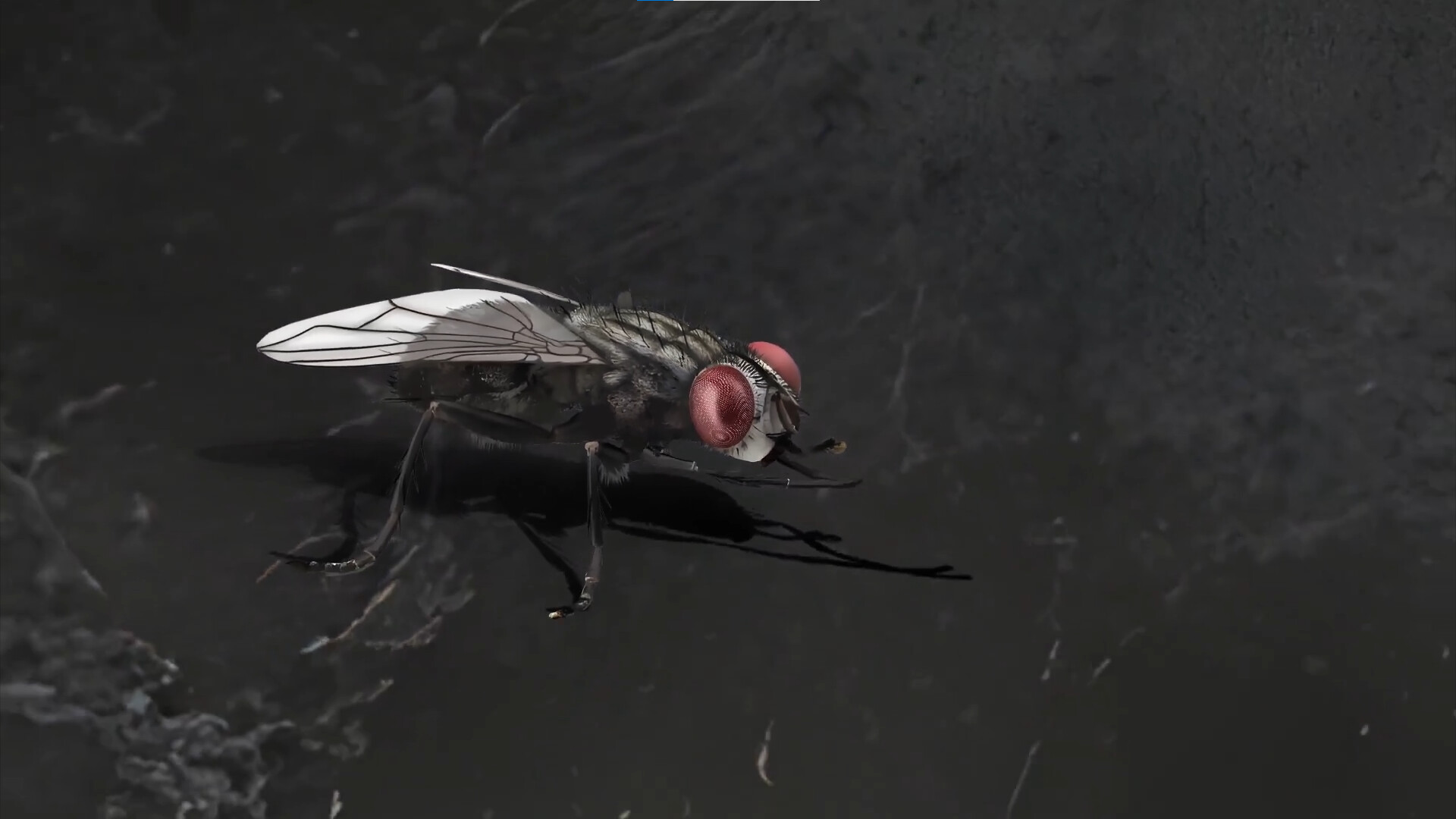 残秽的我们 2-FILTHY US 2-游戏截图-好玩游戏库