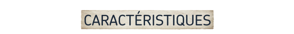 Homeseek thumbnail