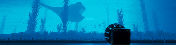 explore.gif?t=1709750331
