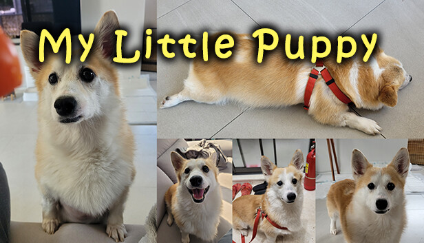 My Little Puppy Cover