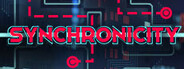 Synchronicity
