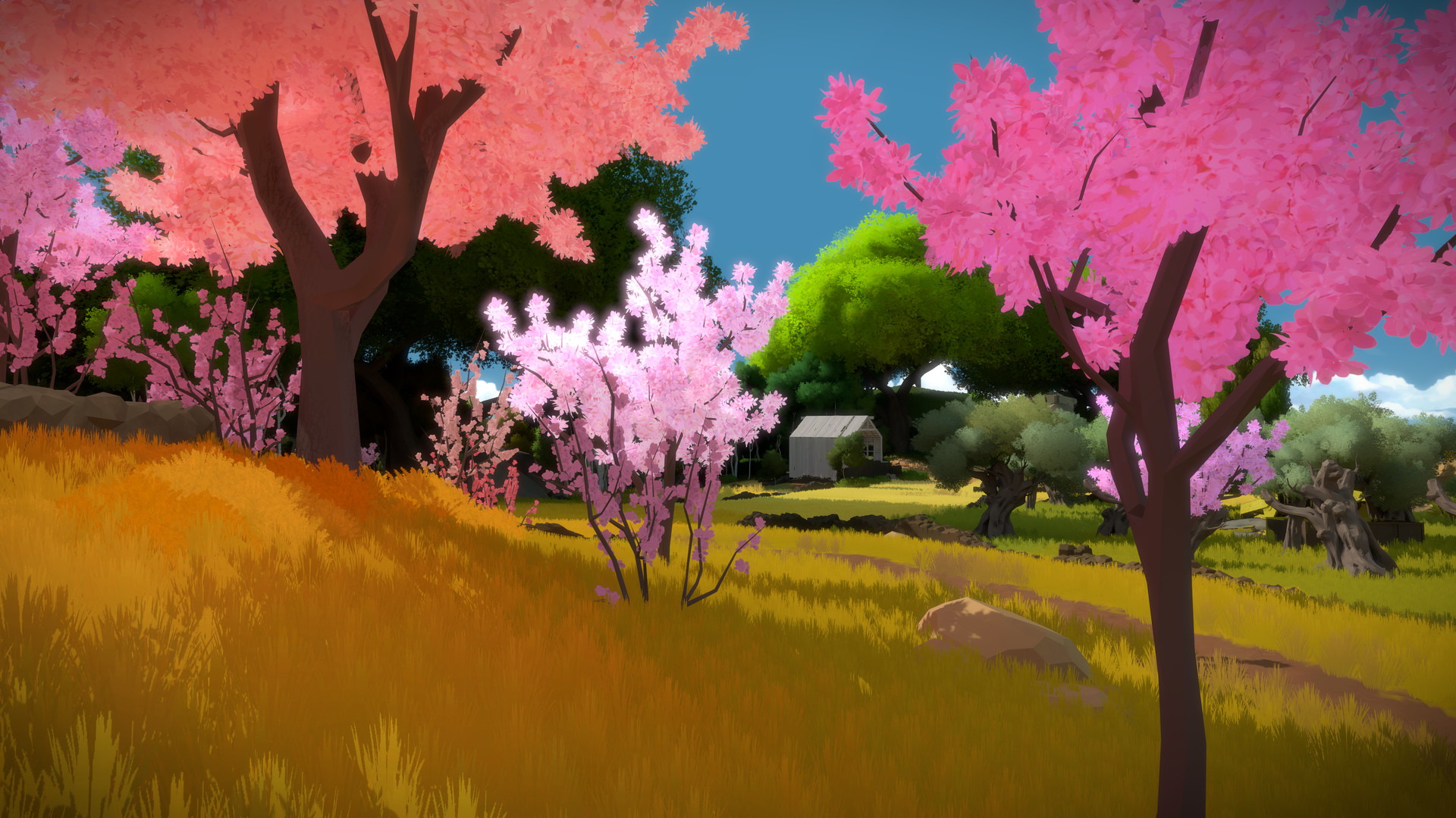 the witness pc game the witness pc game