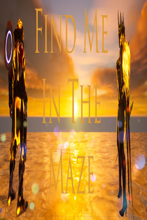 Find Me In The Maze cover art