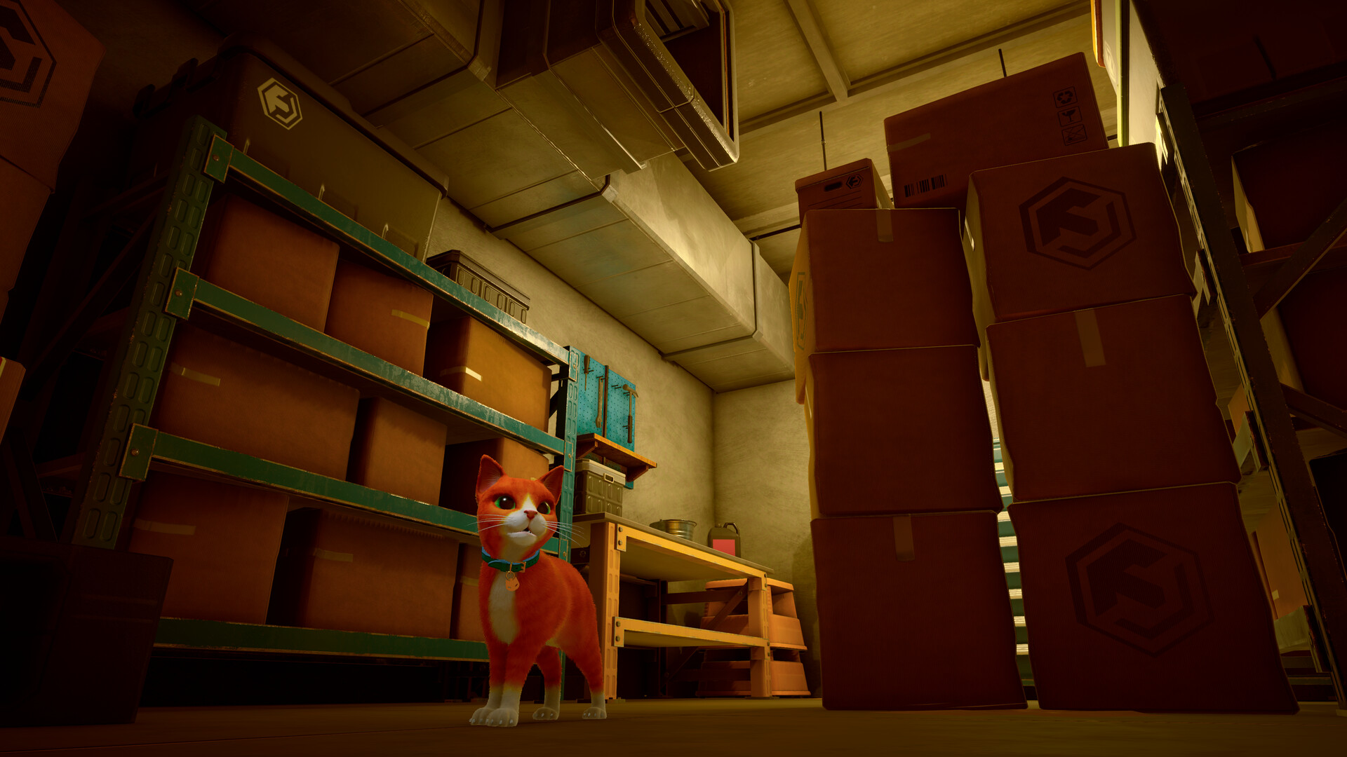 Stray, O Jogo do Gatinho em Aventura e Cyberpunk, Atmosférico de Gato Fofo  - MELHORES JOGOS da Steam 