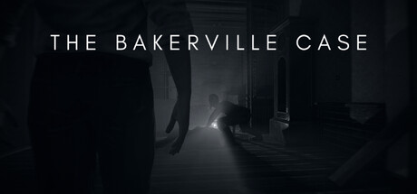 The Bakerville Case