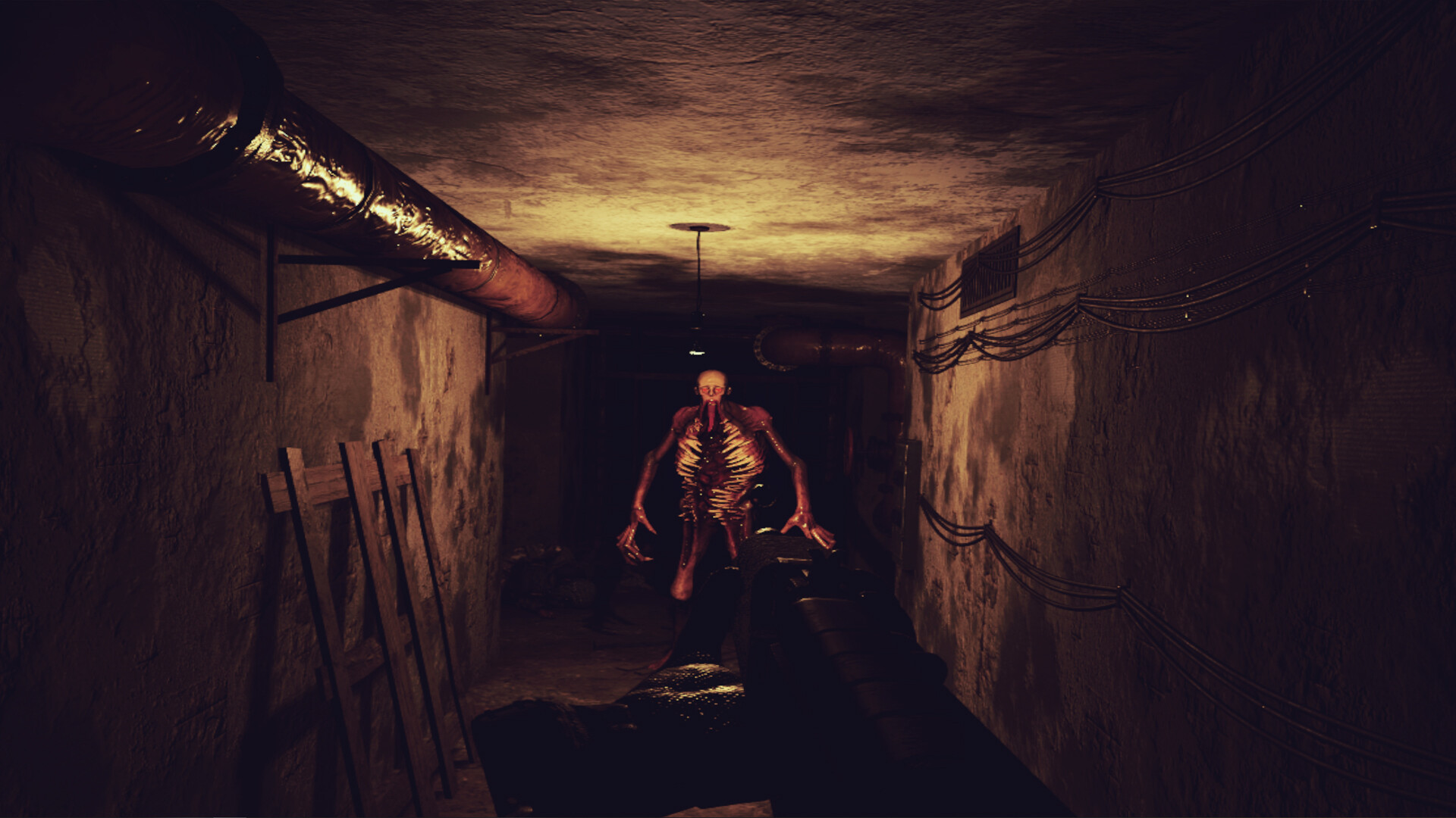 串流游戏  末日生存项目X（Z.O.N.A Project X VR） Steam VR 可玩儿汉化版极速下载