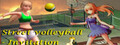 Street volleyball - Invitation