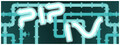 PIP 4