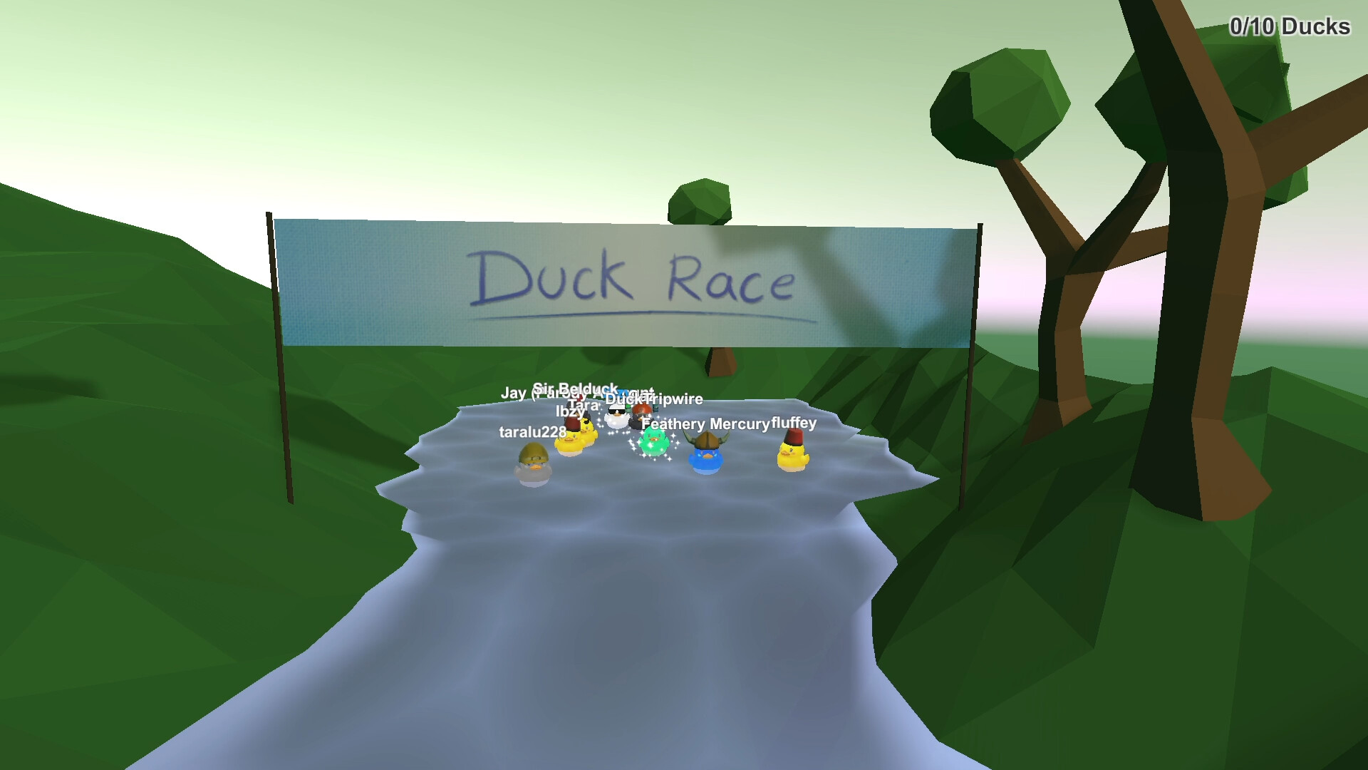 Duck Race Screenshots · SteamDB