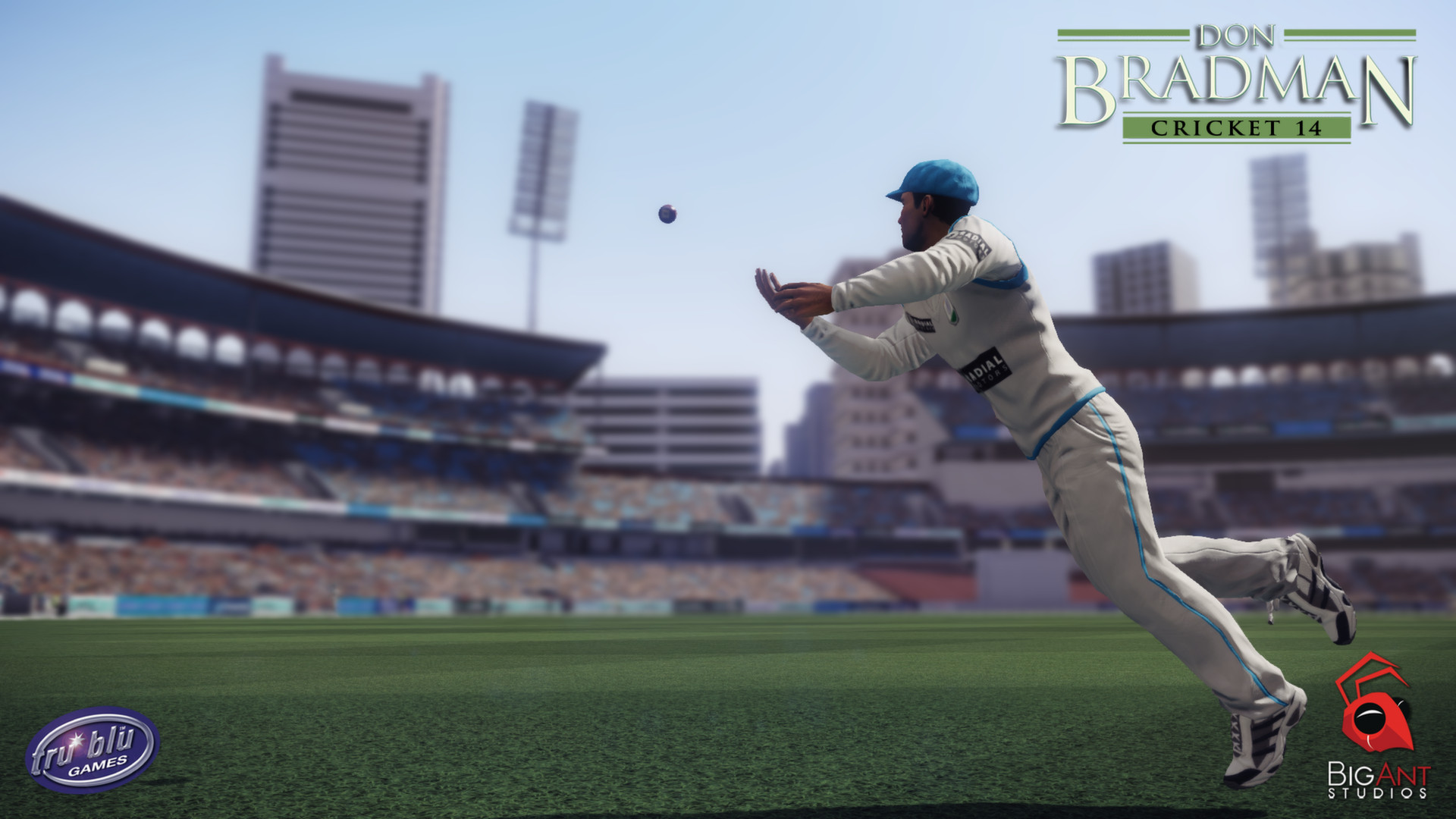 Don Bradman Cricket 14 on Steam