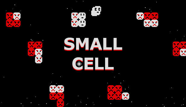 Small Cell