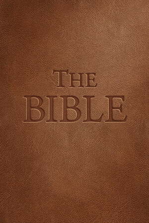 The Bible cover art