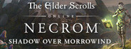 The Elder Scrolls Online: Necrom