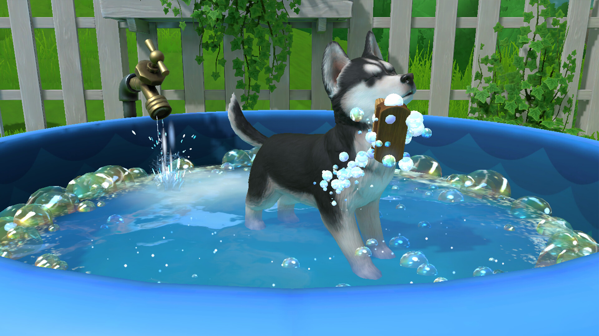 Surfboard Corgi (Pet Simulator X), Pet Simulator Wiki