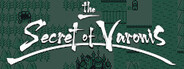 The Secret of Varonis